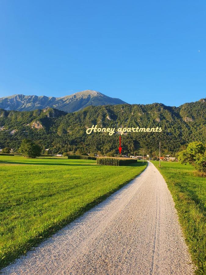 Honey Apartments Zirovnica Esterno foto